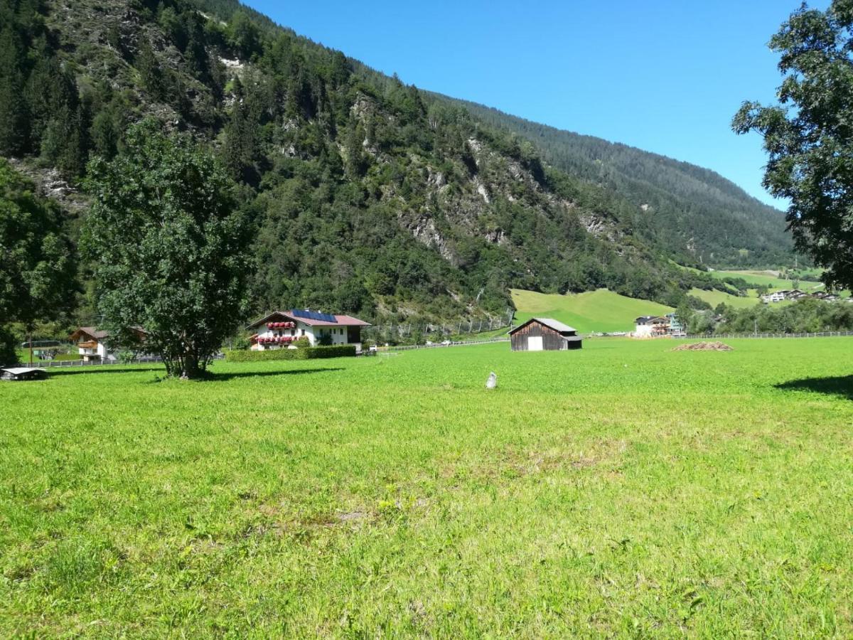 شقة Schlatterhof نيوستيف ام ستوبيتا المظهر الخارجي الصورة